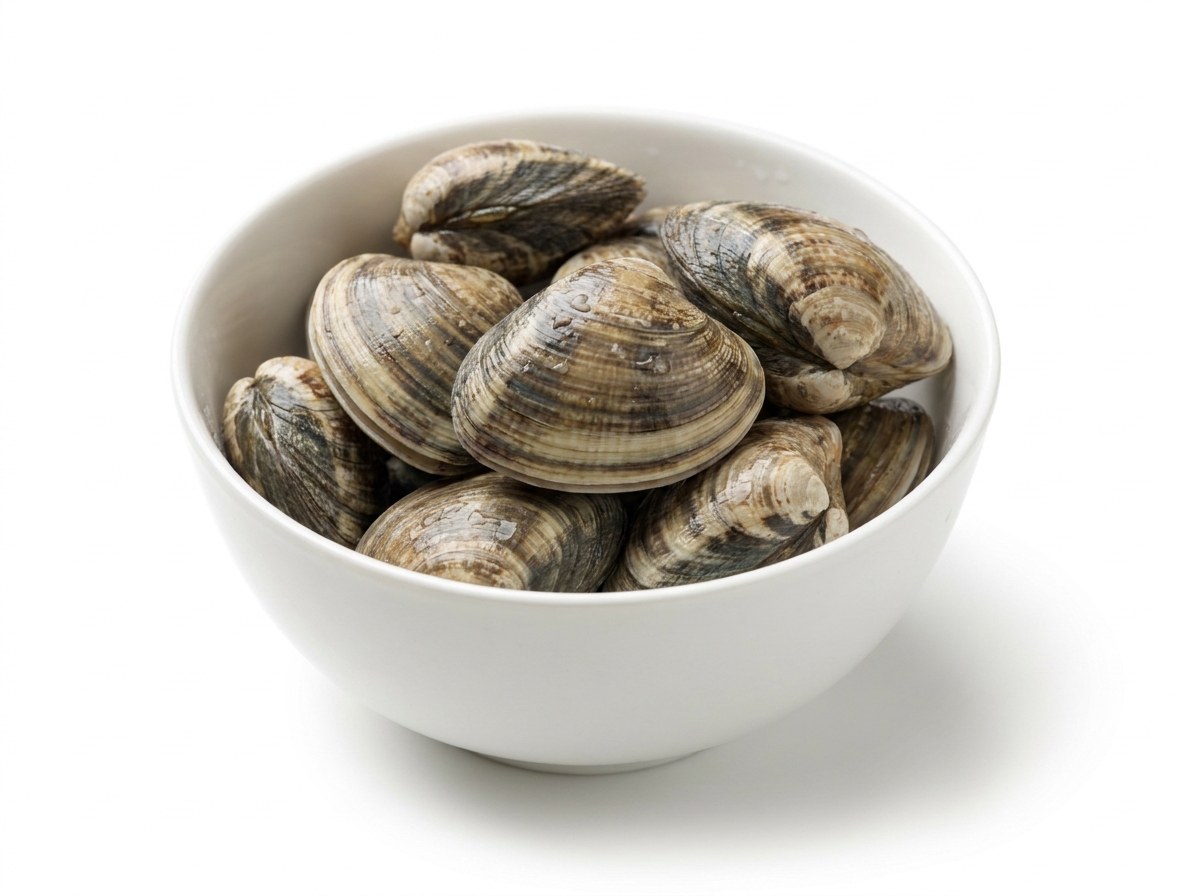 바지락 재료 사진